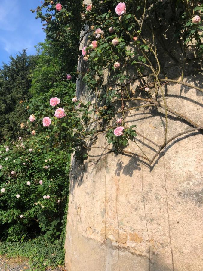 Chateau De La Mothe Saint-Sulpice-en-Pareds Kültér fotó